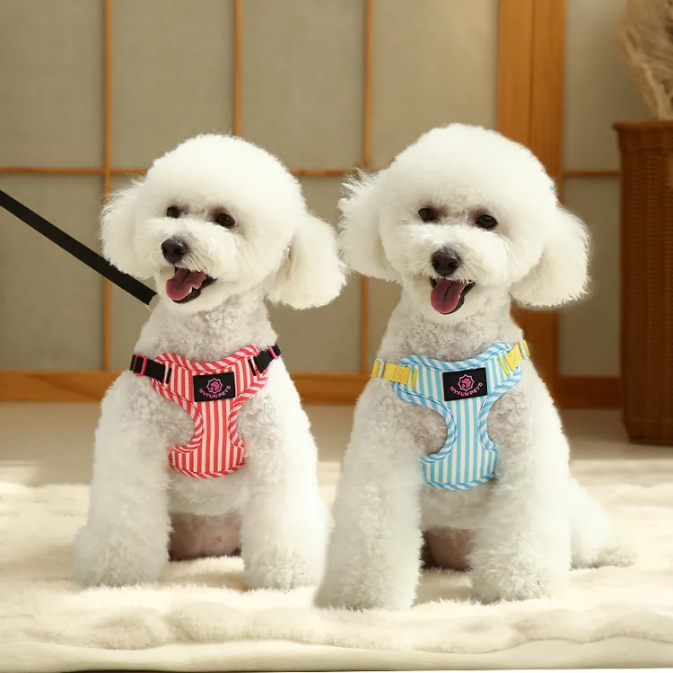 狗狗牵引绳中小型犬背心式防挣脱泰迪比熊透气可调节胸背带狗绳子