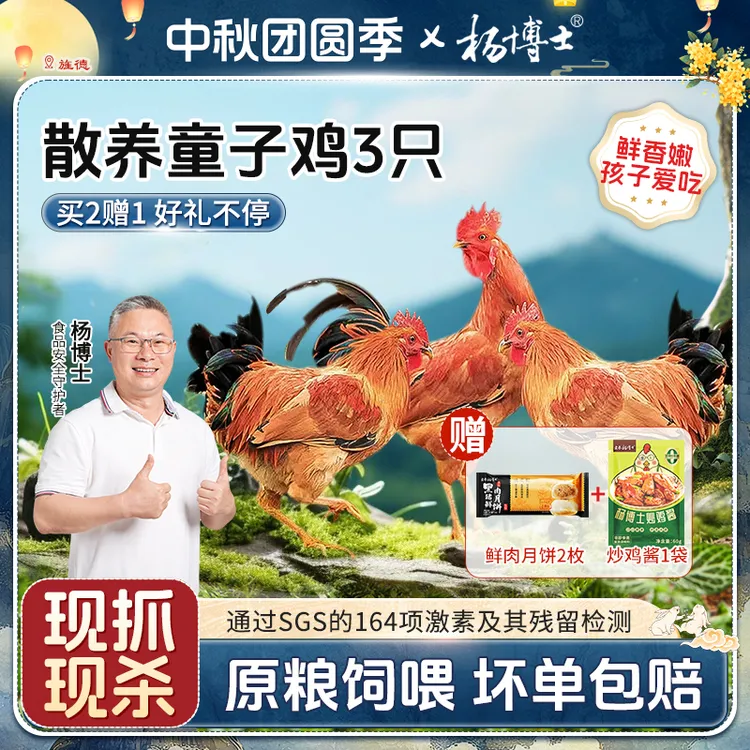 【中秋限定童子鸡送月饼】杨博士皖南农村散养土鸡新鲜现杀低脂营养