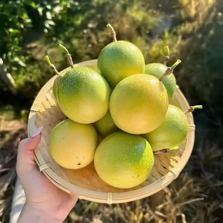 黄金百香果新鲜香甜多汁当季水果