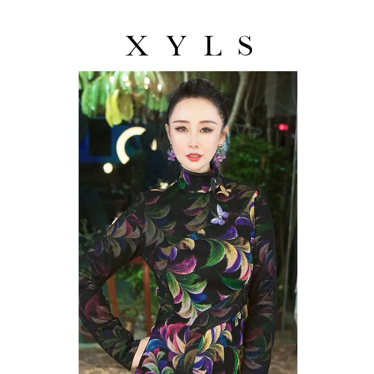 加绒弹力网纱连衣裙T006520