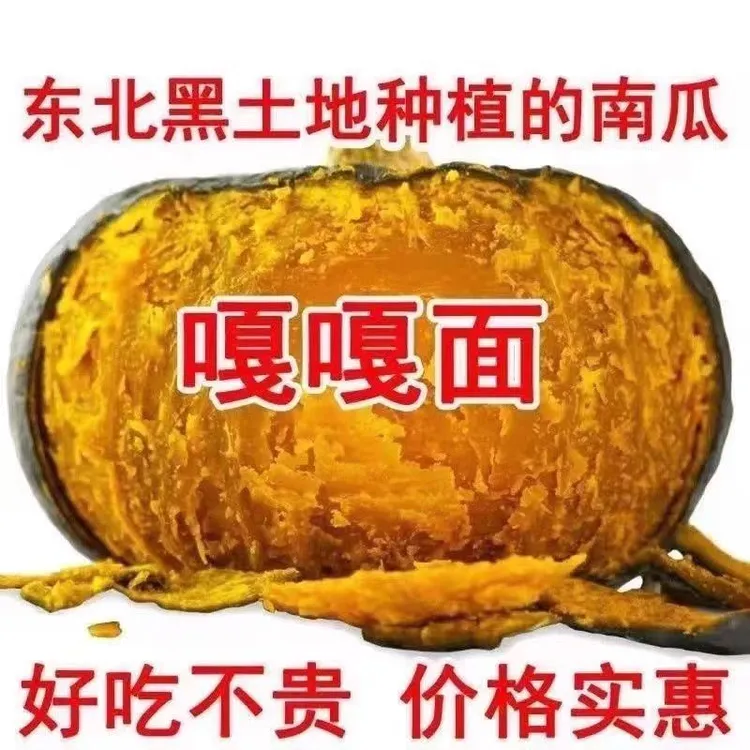 （铁柱家）东北小园黑土地种植落花面窝瓜