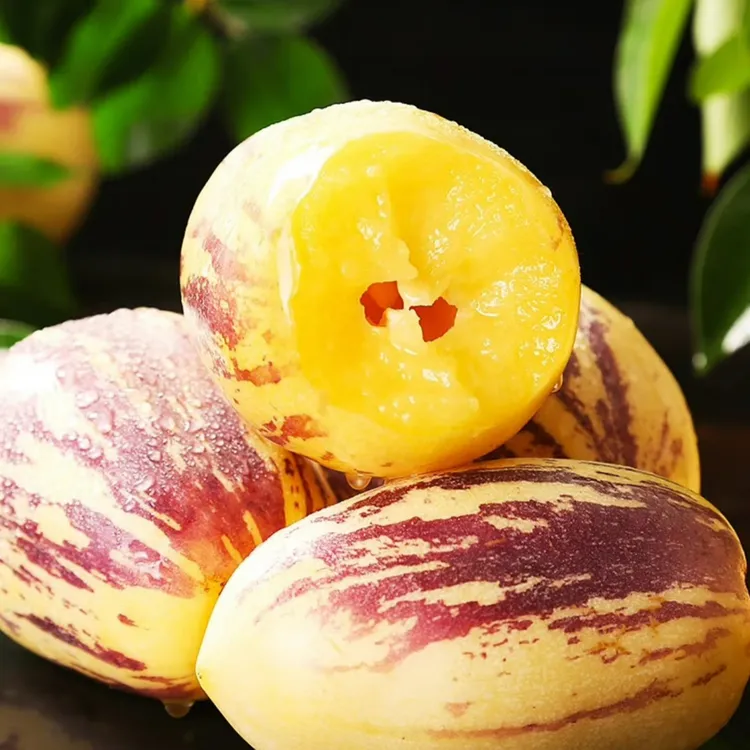 甘肃民勤人参果沙漠树熟清甜爆汁低糖