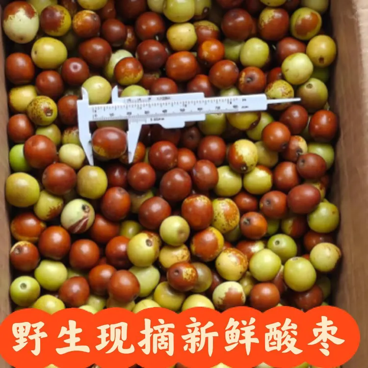 沂蒙山野生正宗小酸枣脆甜孕妇超爱山东农家酸甜口感新鲜采摘包邮