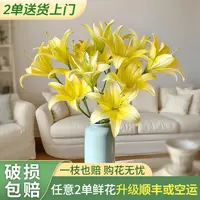 【源头优选】黄蜂香水百合-任意2单鲜花升级快递 发货后不支持退款