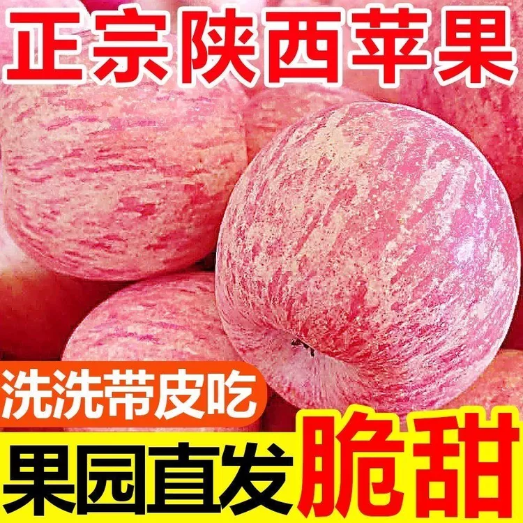 【正宗红富士】陕西产地直发苹果脆甜多汁皮薄肉厚核小新鲜水果苹果商品图