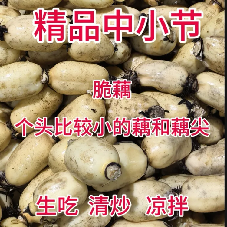新鲜莲藕现挖现发货脆甜爽口 可清炒 凉拌 煮火锅（4斤装）