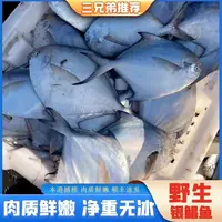 【三兄弟海鲜】纯野生海捕银鲳鱼深海鱼新鲜海鲜水产直播6条/斤4斤
