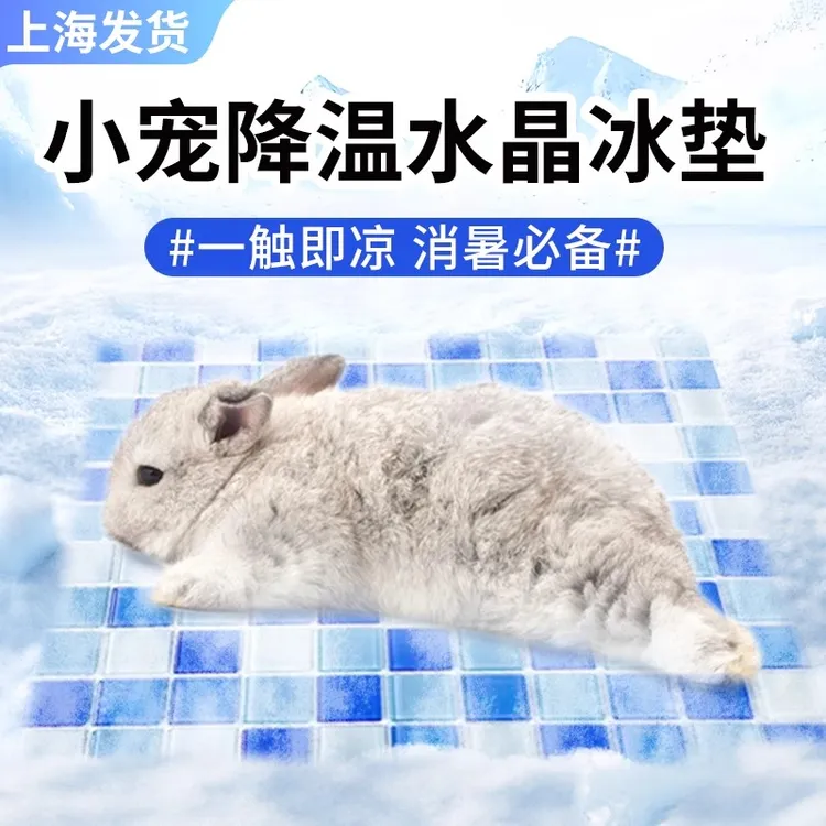 夏季兔子降温冰垫仓鼠降温板龙猫荷兰猪消暑冰窝散热水晶垫子凉席