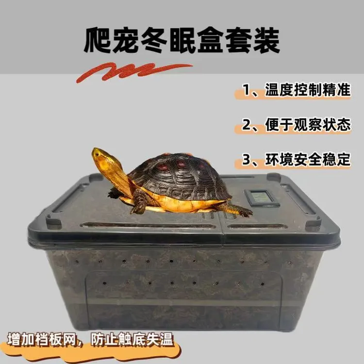 黄缘龟冬眠箱过冬垫材乌龟冬眠用品饲养箱智利水苔小龟冬眠盒