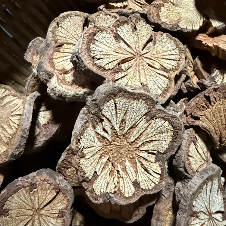 【滇缅特产】1血，塞通