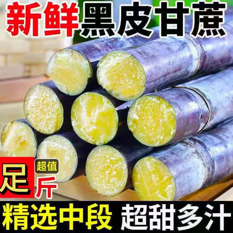 正宗广西黑皮甘蔗 皮薄脆甜多汁新鲜现砍现发农家肥种植水果甘蔗 