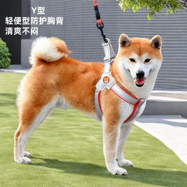 狗狗牵引绳坚固耐用博美中大型遛狗牵引绳子发光狗狗项圈遛狗绳