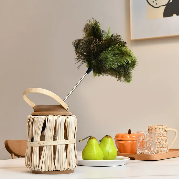 掸尘迎新鸵鸟毛除尘鸡毛掸子可伸缩防静电扫灰宋式居家用美学摆件