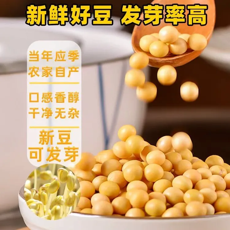大颗粒黄豆鸡蛋黄高蛋白黄豆豆腐专用可打豆浆发豆芽农家自种黄豆