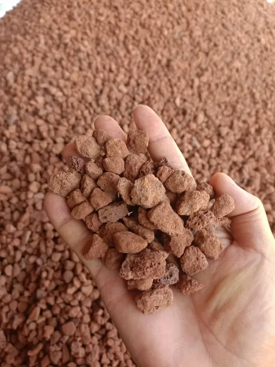 优质沥水透气生根快红山石（10斤）