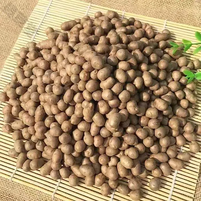 山药豆5斤正宗铁棍山药蛋河南焦作温县怀淮山大号做糖葫芦豆