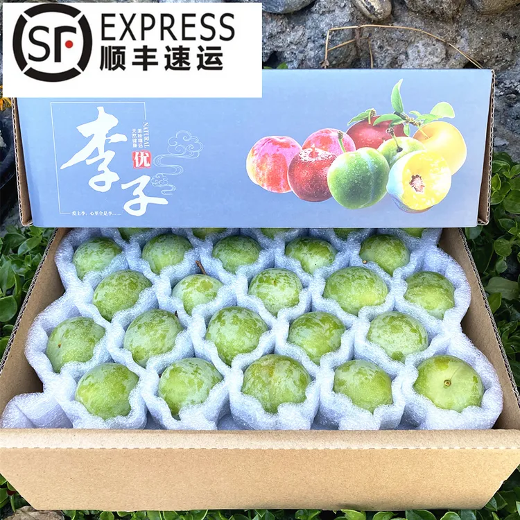 顺丰包邮四川汶川茂县九月晚熟高山青脆脱骨李脆甜多汁现摘  