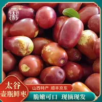 【可可专属】山西特产脆枣鲜枣脆甜大鲜嫩现摘现发顺丰京东包邮