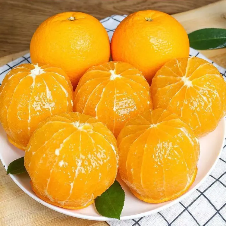 麻阳高山冰糖橙 现摘现发 皮薄多汁 9甜1酸