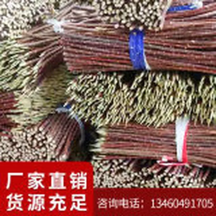 烤肉签子红柳枝羊肉大串树枝烧烤签商用大号木签户外野营专用