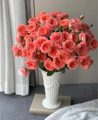【多头杏色果汁10支】满2单中通特快冷链 送货上门