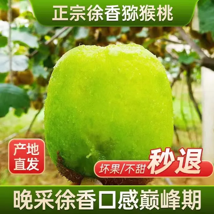 【爱丽自家果园】陕西正宗徐香猕猴桃现摘新鲜皮薄清甜产地发 5/9斤