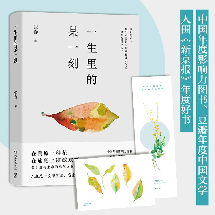 【当当】一生里的某一刻 新版（一边跌倒一边前行的张春关于爱与
