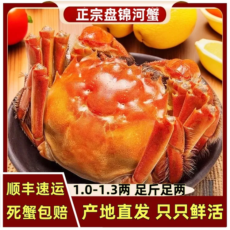 【活蟹】盘锦河蟹母蟹 1-1.3两3斤顺丰包邮精美包装【直播间专属】
