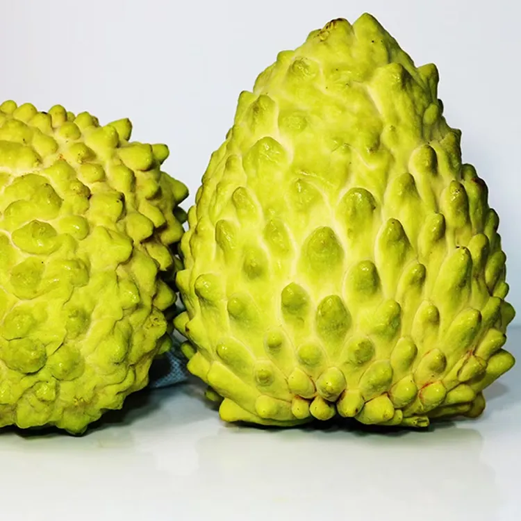 【果园直发】纯甜送礼新鲜发牛奶凤梨释迦果佛头果鲜果稀有热带水果