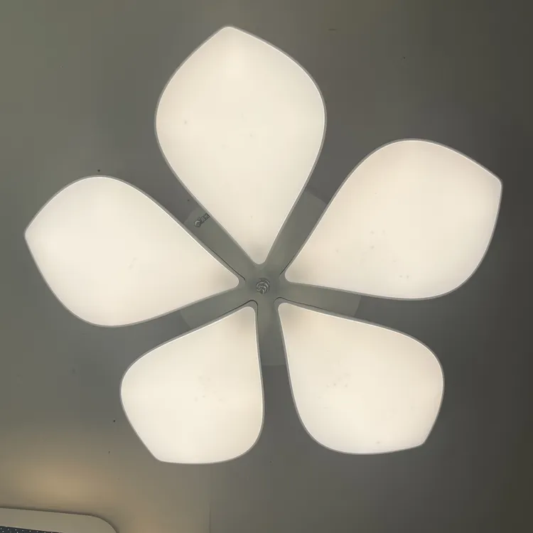 创意花朵吸顶灯卧室餐厅可调节白色简约护眼三色变光简约时尚
