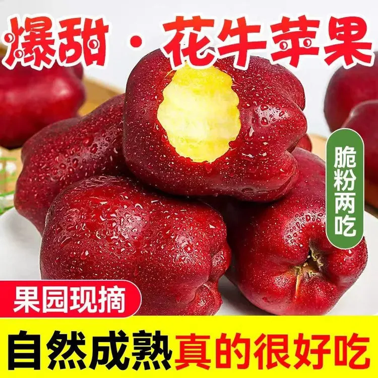 甘肃天水花牛苹果蛇果当季新鲜水果脆粉两吃适合老人宝宝辅食
