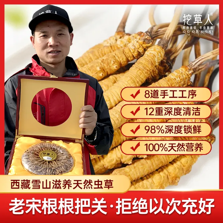【假一赔十】西藏直发雪山高品质虫草新鲜头期正宗干货挖草人旗舰店