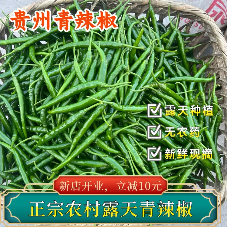 贵州遵义青辣椒二荆条线椒长辣椒农村辣椒剁椒新鲜现摘当季果蔬