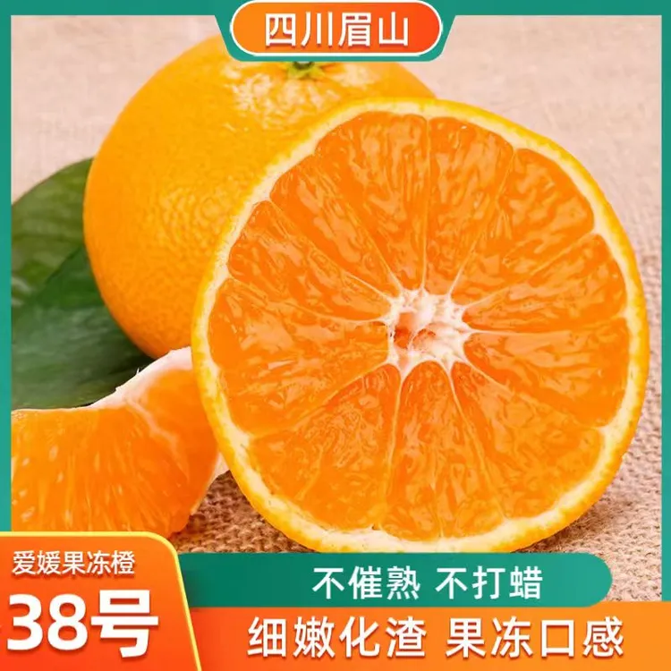 正宗眉山爱媛38号果冻橙现摘现发【顺丰包邮】