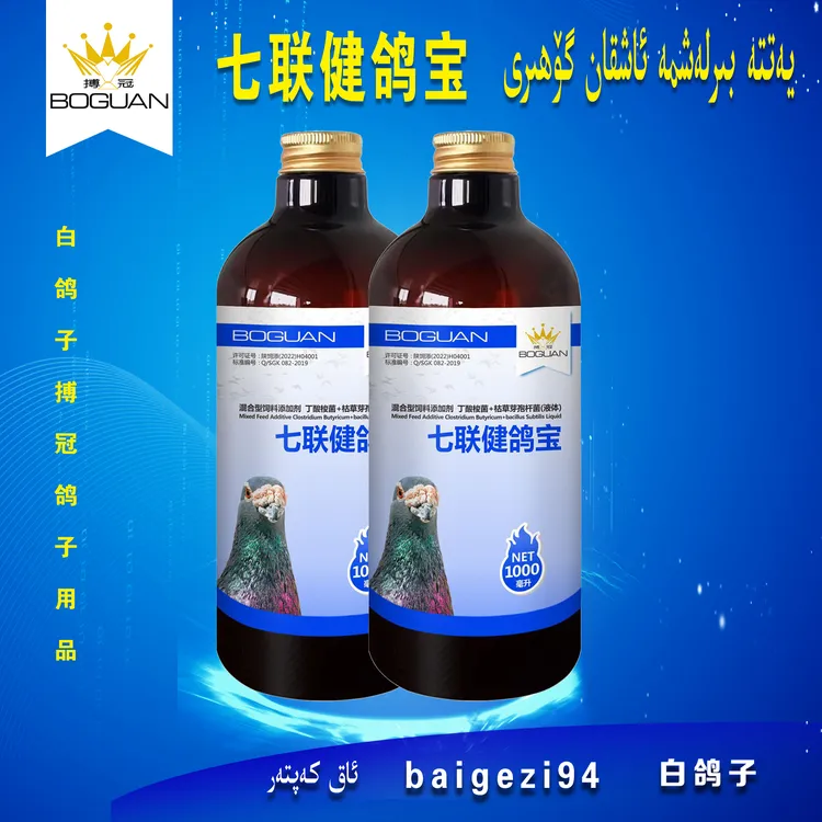 白鸽子搏冠七联健鸽宝yatta birlaxma axkazan gohiri【新疆包邮】