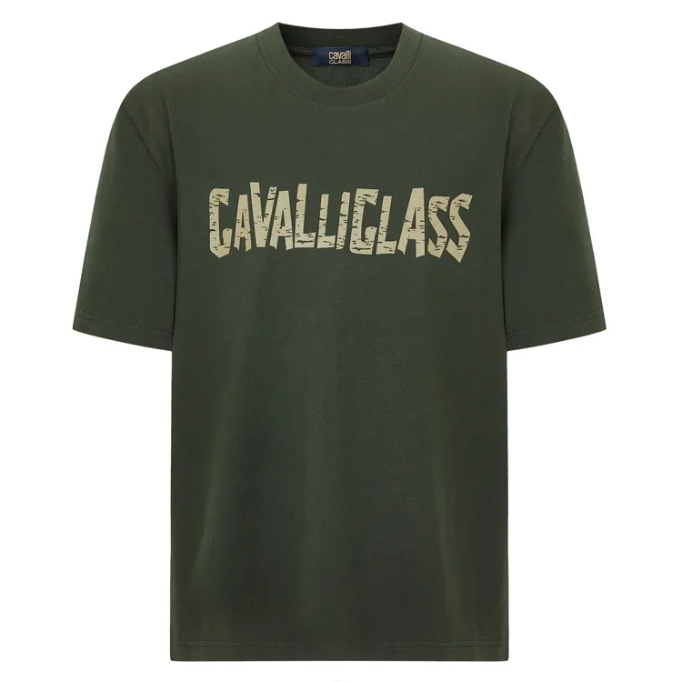 Cavalli Class26夏新款潮流印花舒适男款阔版短袖T恤男T恤RWC789