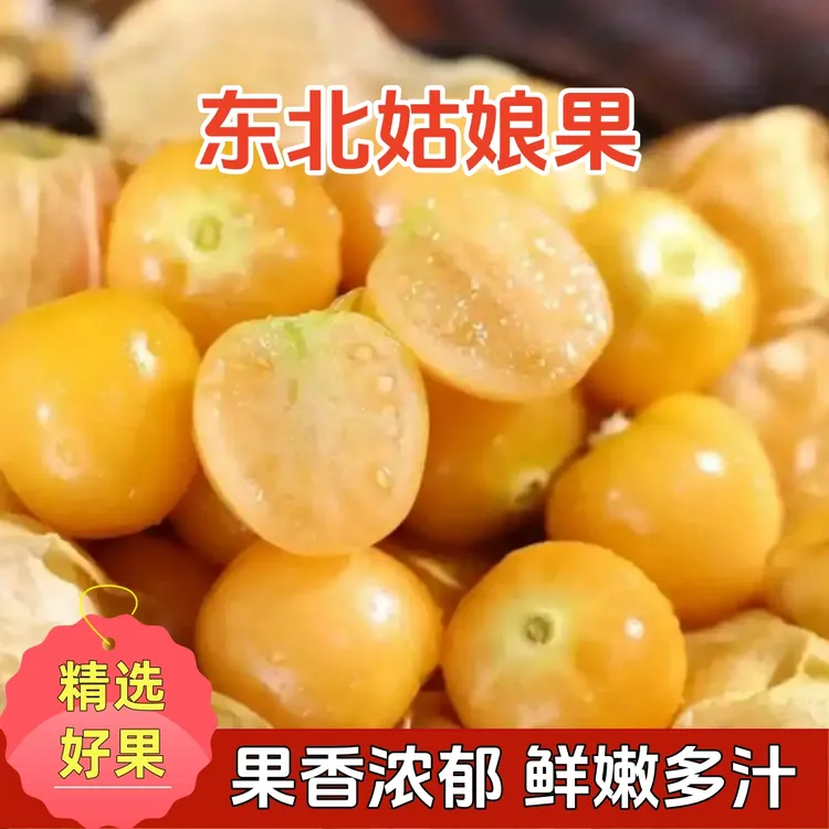 【香甜多汁】东北姑娘果灯笼果香甜可口新鲜应季产地直发