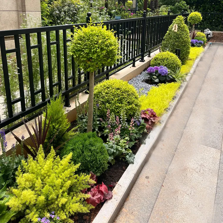 室外庭院别墅阳台露台花箱花境镜设计套餐耐寒耐热好打理整体组合