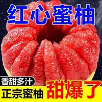 福建平和红心蜜柚老树头茬柚子新鲜水果当季现摘肉厚香甜多仓发R