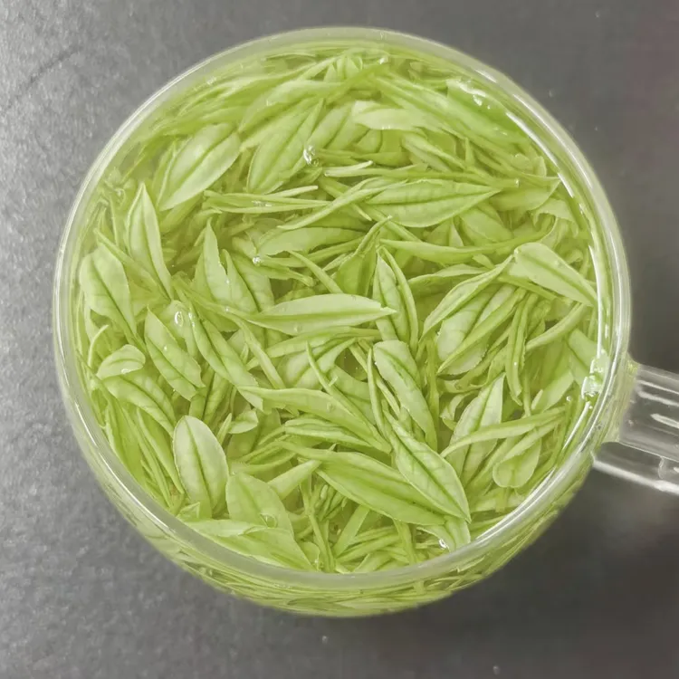明前茶安吉 新茶 绿茶早春白茶 母本高白化源于 天荒坪高山采摘