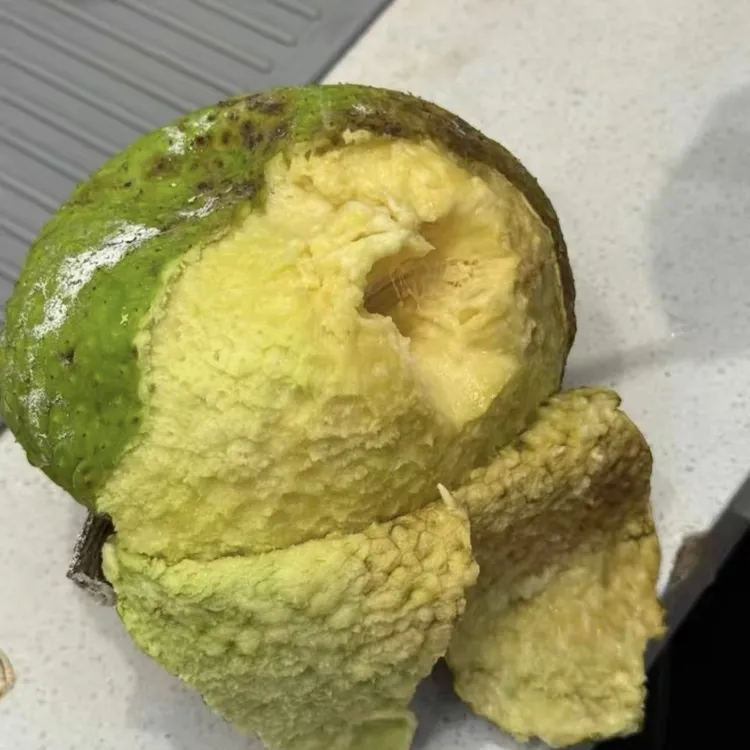 顺丰包邮新鲜面包果稀有热带水果蒸煮炒炖烤加粉炸风味更好吃