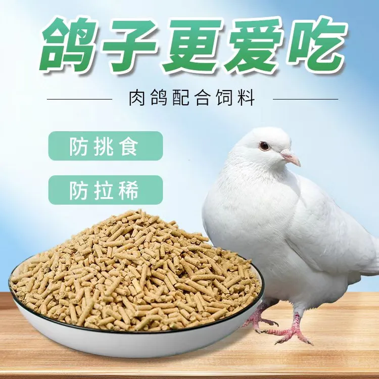 鸽子粮食 健康成长