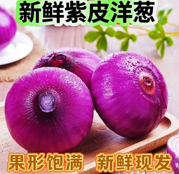  农家自种紫皮水果洋葱 皮薄肉厚 脆嫩甘甜  现挖现发