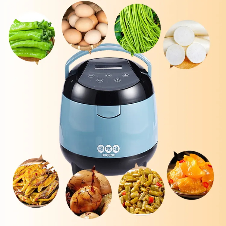 喔咯咯家用多功能快速腌制宝腌制美味咸鸭蛋神器健康个性全自动