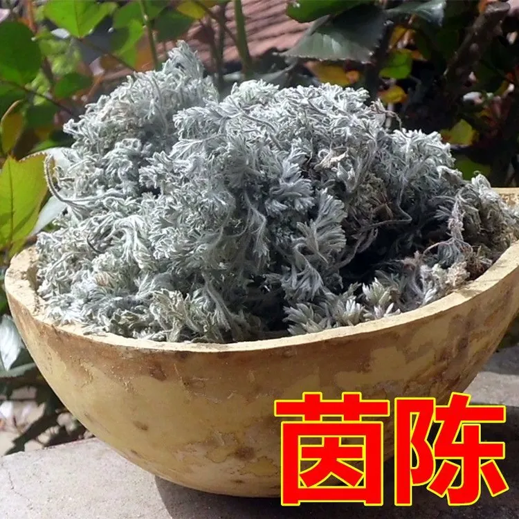 2025年新货自然阴干茵陈挑选干净过筛子人工挑选的茵陈绵茵陈干品