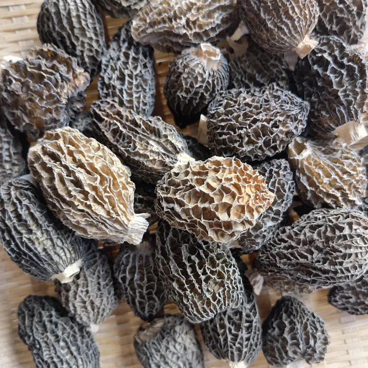 云南土特产阿红臻选～精品草莓羊肚菌～150g