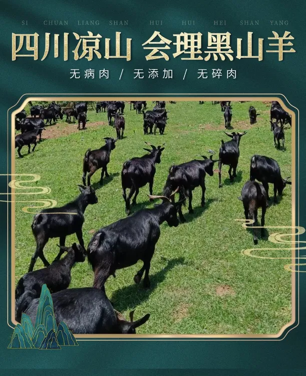 四川凉山会理高山放养黑山羊肉生态带皮羊肉宰杀现发3斤/5斤装