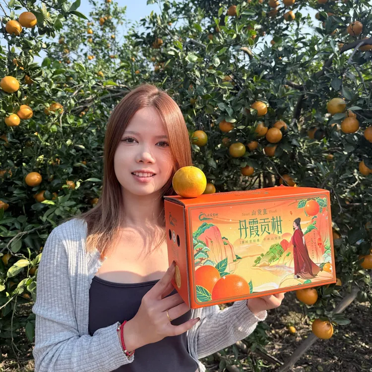 粤北阿伟严选 广东仁化丹霞贡柑丨皇帝柑 清甜爽口