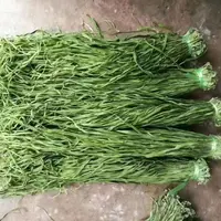 250g贡菜干正宗脱水蔬菜干货食材贡菜晒干菜精品
