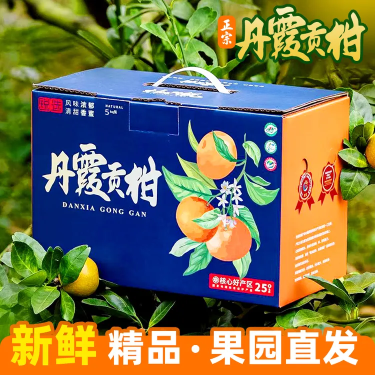 丹霞贡柑大果皇帝柑甜橘子新鲜现摘柑橘应季水果礼盒韶关